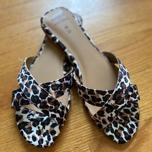 Express x Rocky Barnes Flats